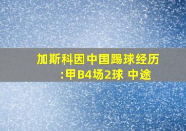 加斯科因中国踢球经历:甲B4场2球 中途